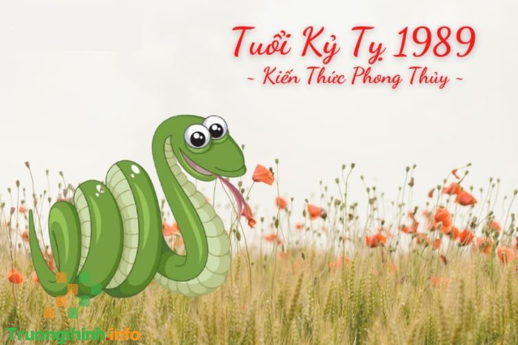                           Sinh năm 1989 mệnh gì, là tuổi con gì, hợp màu gì?