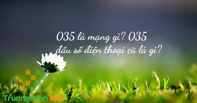                           035 là mạng gì? 035 đầu số điện thoại cũ là gì?