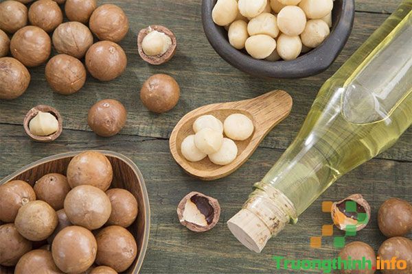                           3 Cách làm sữa hạt macca ngậy ngon, bổ dưỡng