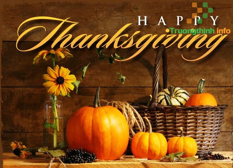                           Thiệp & Lời chúc mừng ngày Lễ Tạ Ơn Thanksgiving hay, ý nghĩa