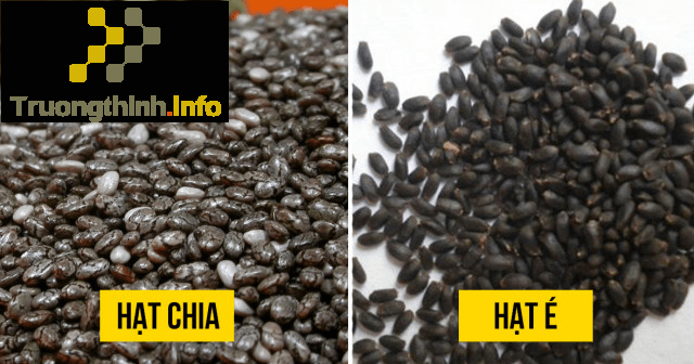                           Hạt é và hạt chia có giống nhau không? Có phải là một loại không?