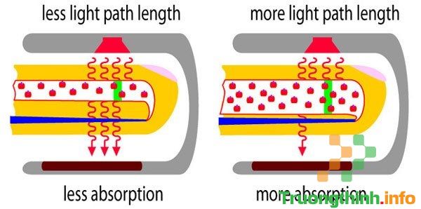 Dụng cụ kẹp đầu ngón tay bệnh nhân là gì? Dùng để làm gì?