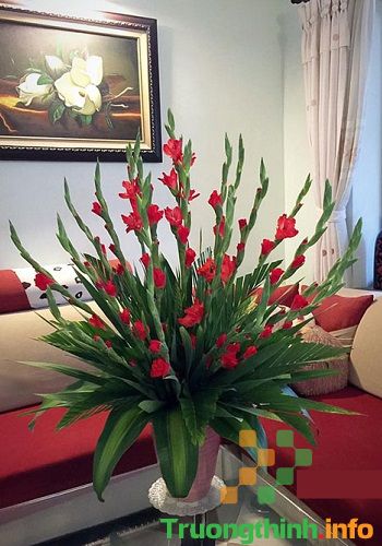                           Các kiểu cắm hoa đẹp nhất, đơn giản nhất ngày lễ Tết