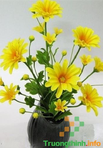                           Các kiểu cắm hoa đẹp nhất, đơn giản nhất ngày lễ Tết