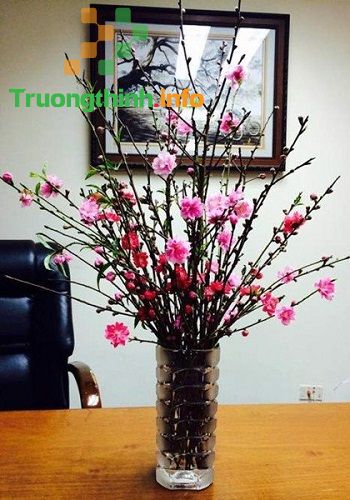                           Các kiểu cắm hoa đẹp nhất, đơn giản nhất ngày lễ Tết