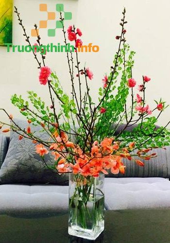                           Các kiểu cắm hoa đẹp nhất, đơn giản nhất ngày lễ Tết