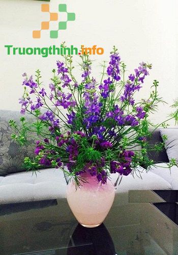                           Các kiểu cắm hoa đẹp nhất, đơn giản nhất ngày lễ Tết