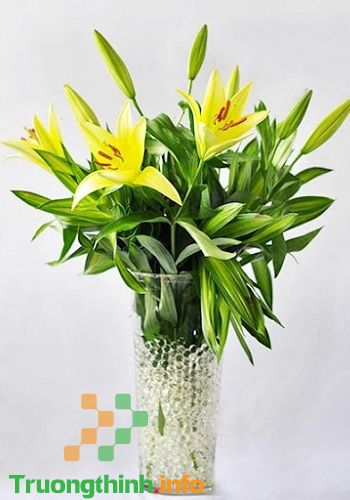                           Các kiểu cắm hoa đẹp nhất, đơn giản nhất ngày lễ Tết