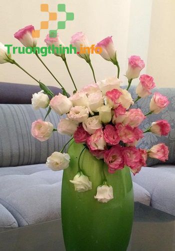                           Các kiểu cắm hoa đẹp nhất, đơn giản nhất ngày lễ Tết