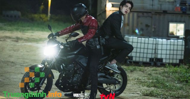                           Bad and crazy: Lịch chiếu, diễn viên, nội dung, trailer