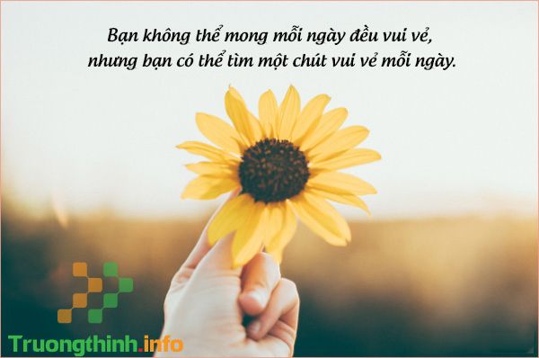                           Cap hay ngắn vui, stt hài hước ngắn đăng Facebook