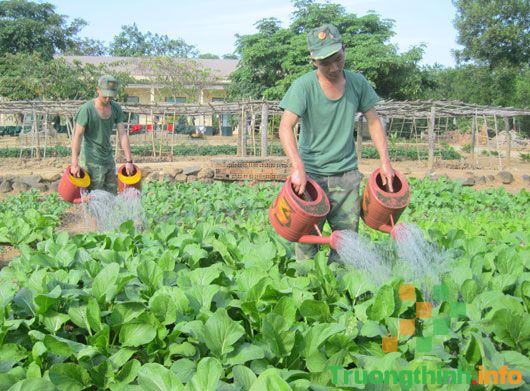                           20+ Hình ảnh chú bộ đội cầm súng, đứng gác, hành quân đẹp nhất