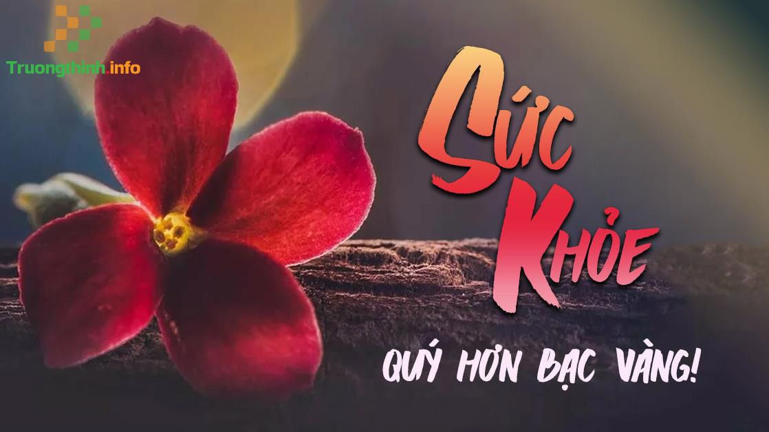                           Những câu nói hay về sức khỏe, lời chúc sức khỏe ý nghĩa