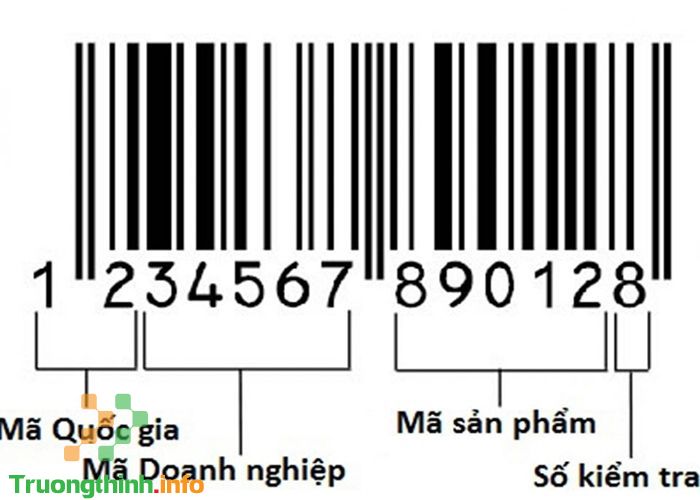                           Top 3 phần mềm quét mã vạch giúp kiểm tra sản phẩm thật
