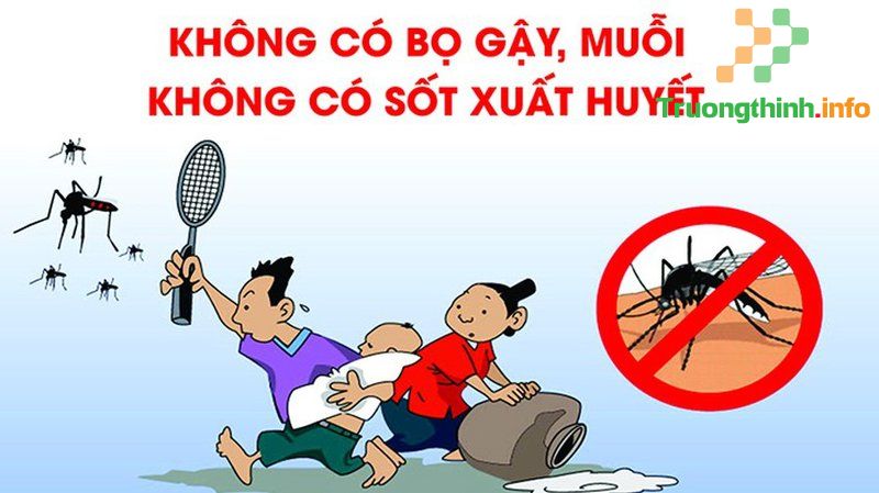                           Những dấu hiệu của bệnh sốt xuất huyết dễ nhận biết