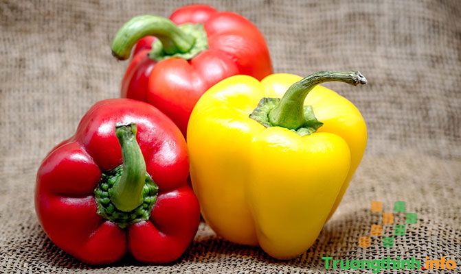                           Ăn ớt chuông có tác dụng gì? Ớt chuông màu nào tốt nhất?