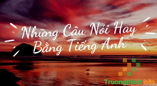                           Cap tiếng Anh ngắn hay, stt hay bằng tiếng Anh (có dịch)