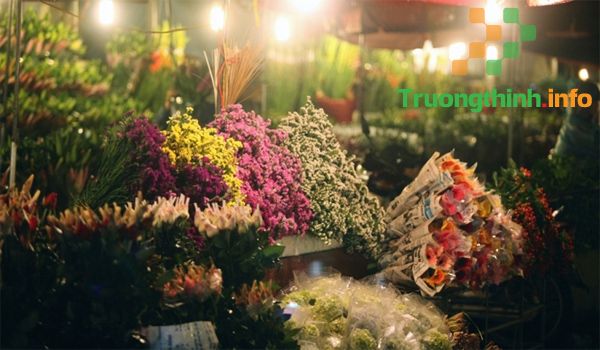                           Danh sách chợ hoa Tết Xuân Tân Sửu 2021 tại TPHCM, Hà Nội