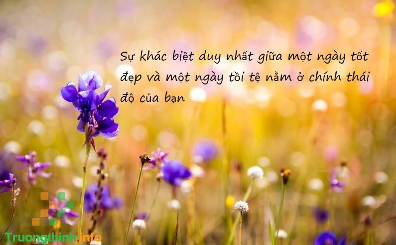 Những câu cap để tiểu sử Facebook (FB) hay, ngắn gọn, đẹp