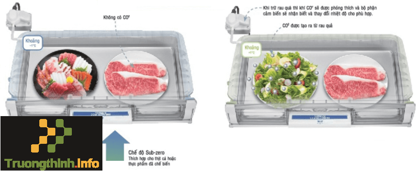                           Những lợi ích của ngăn chân không tủ lạnh Hitachi khi bảo quản thực phẩm