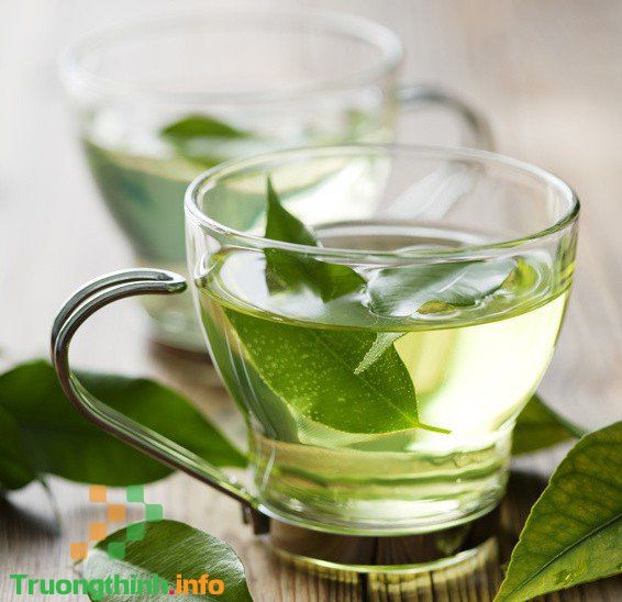                           Lá trà xanh có tác dụng gì? Tác dụng của lá trà xanh với sức khỏe và làm đẹp