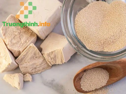                           Men nở là gì? Các loại men nở và cách sử dụng