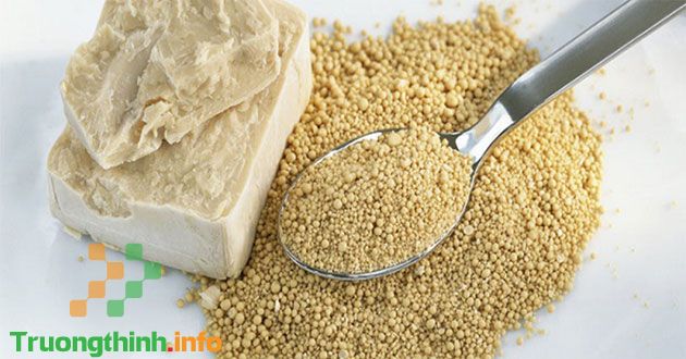 Men nở là gì? Các loại men nở và cách sử dụng