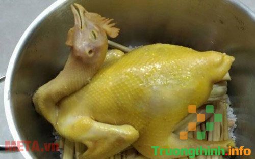                           Gà hấp muối sả bằng nồi cơm điện vừa ngon mà lại dễ nấu vô cùng
