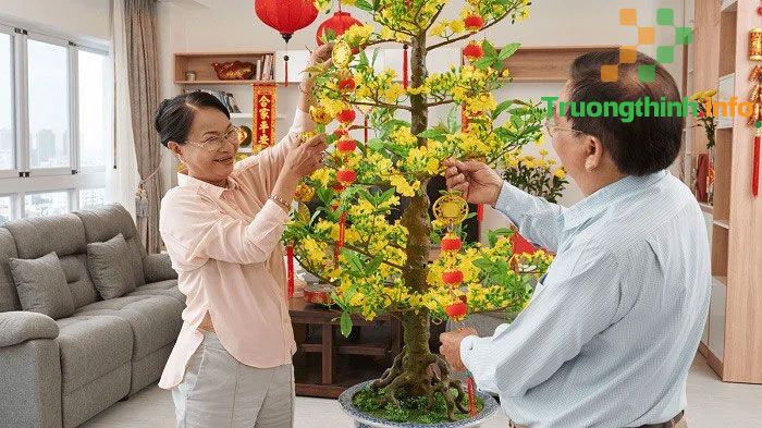                           5 Cách trang trí cây mai ngày Tết đẹp nhất đón tài lộc vào nhà