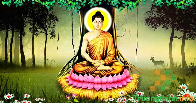                           Ngày Đức Phật thành đạo là ngày nào? Ý nghĩa & Hình ảnh Phật thành đạo