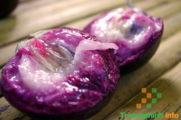 Bà bầu ăn vú sữa được không? Sau sinh ăn vú sữa có tốt không?