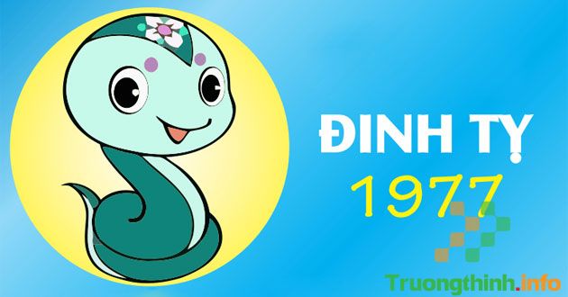                           Sinh năm 1977 mệnh gì, tuổi con gì, hợp màu gì, hợp cây gì?