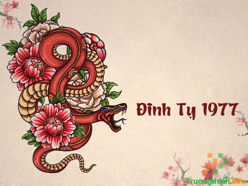                           Sinh năm 1977 mệnh gì, tuổi con gì, hợp màu gì, hợp cây gì?