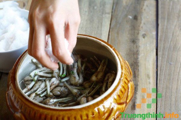                           Cách làm củ kiệu ngâm nước mắm đường ngon, giòn đón Tết