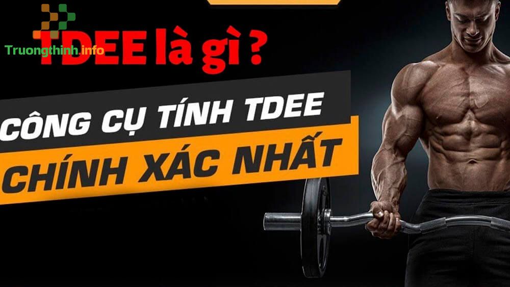                           TDEE là gì? Cách tính TDEE giảm cân, giảm mỡ chính xác cho gymer