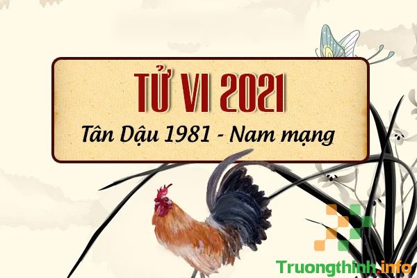                           Sinh năm 1981 năm 2021 sao gì chiếu mạng nam nữ tuổi Tân Dậu?