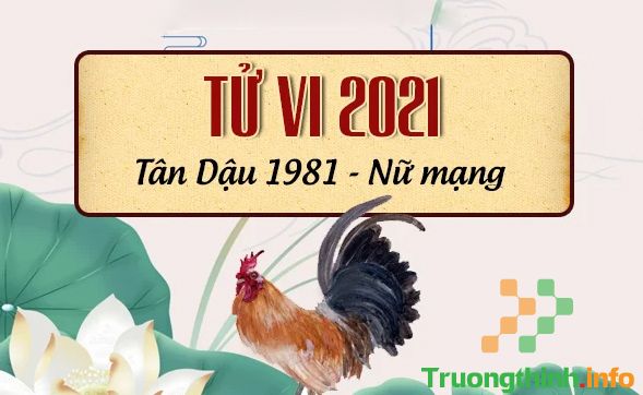                           Sinh năm 1981 năm 2021 sao gì chiếu mạng nam nữ tuổi Tân Dậu?