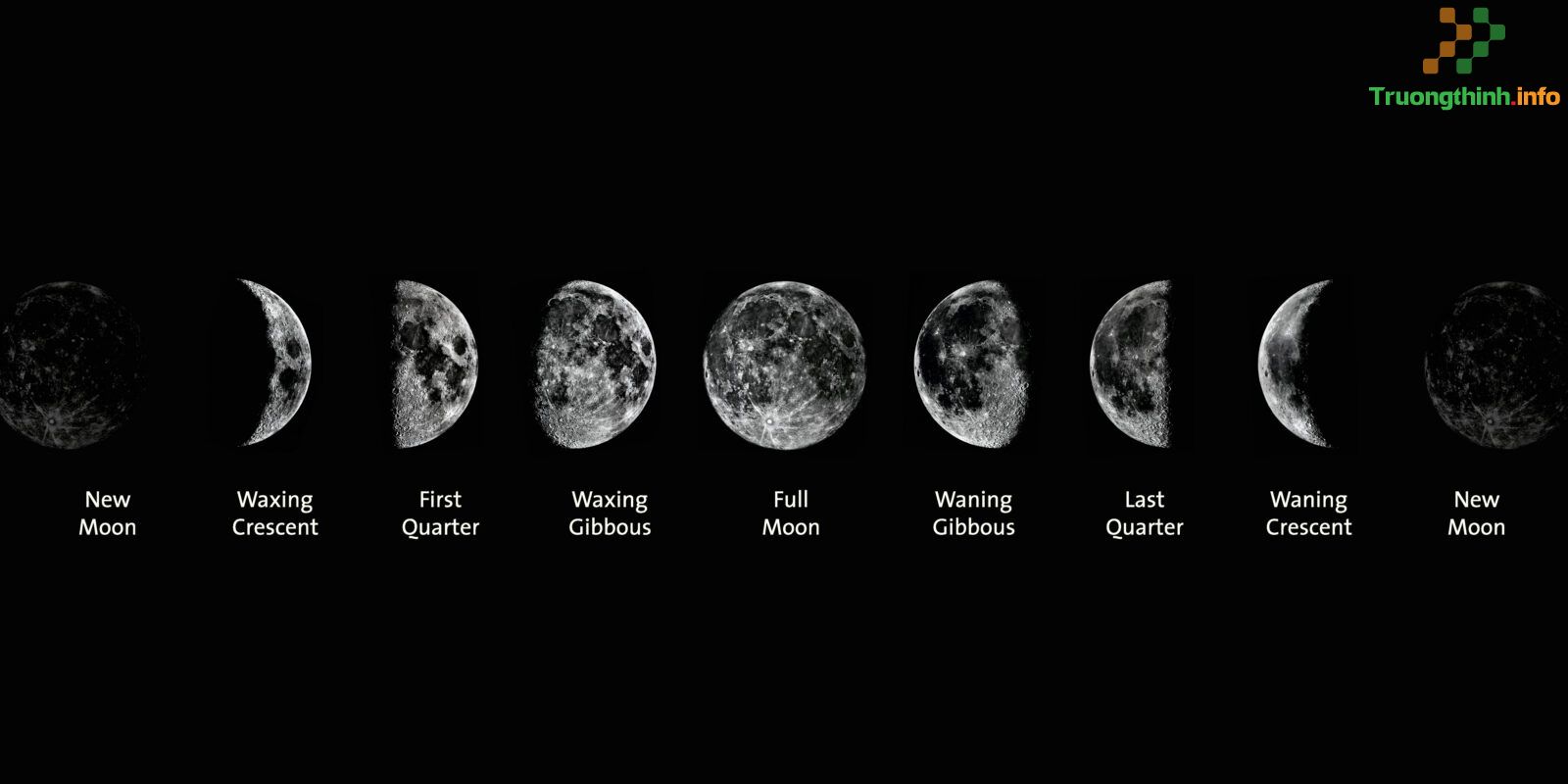                           Trend mặt trăng ngày sinh là gì? Waning gibbous là gì? Waxing crescent moon là gì?