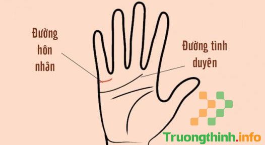                           Cách coi chỉ tay nam nữ bói tình duyên, học vấn, sự nghiệp