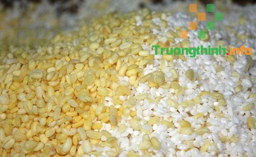                           Cách nấu xôi đậu xanh bằng nồi cơm điện dẻo, thơm, ngon siêu dễ