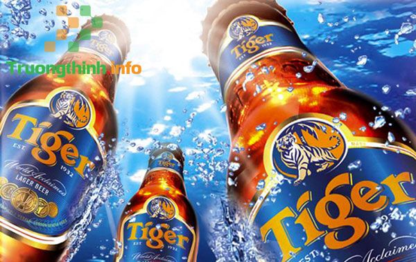 【1️⃣】 Bia Tiger bao nhiêu độ? Giá bao nhiêu 1 thùng? Các loại bia Tiger - Trường Thịnh ™