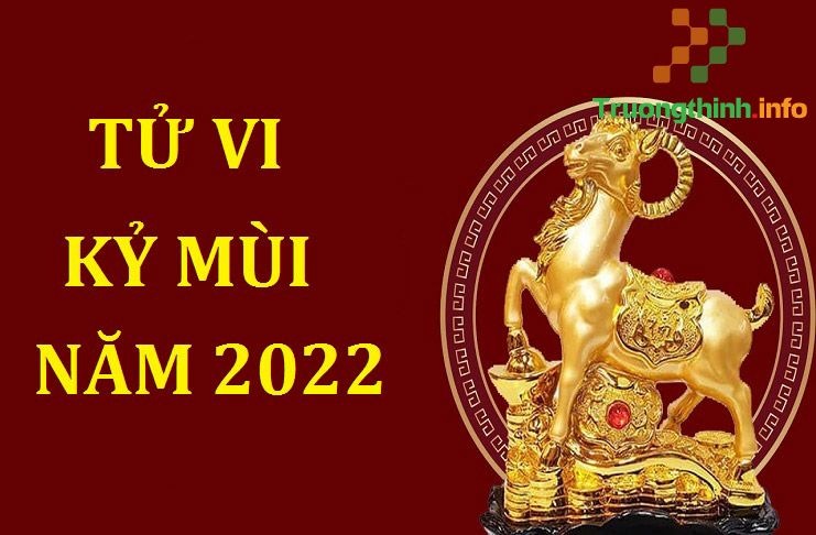 1979 sao gì năm 2022 chiếu mệnh nam nữ tuổi Kỷ Mùi?