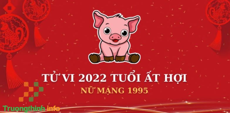                           1995 sao gì năm 2022 chiếu mệnh nam nữ tuổi Hợi?