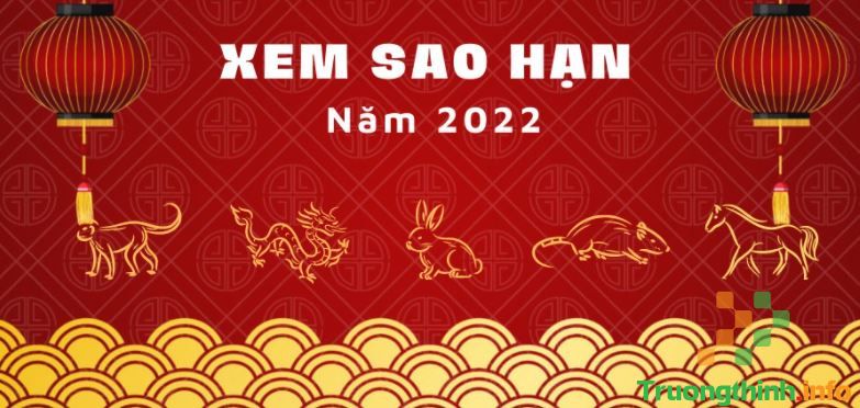 1995 sao gì năm 2022 chiếu mệnh nam nữ tuổi Hợi?