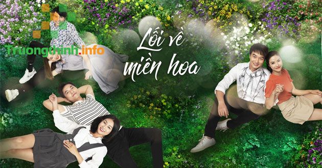 Lịch chiếu phim Lối về miền hoa: Lối về miền hoa có bao nhiêu tập?