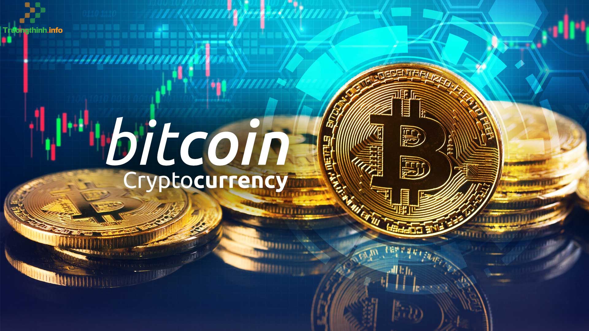                           Giá Bitcoin hôm nay là bao nhiêu? Biểu đồ giá Bitcoin trực tuyến mới nhất