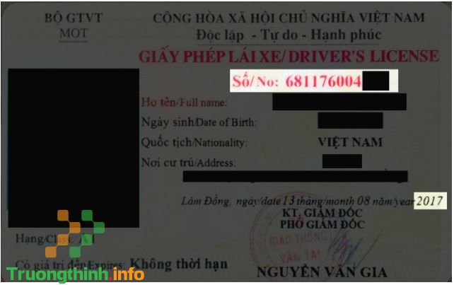                           4 Cách tra cứu giấy phép lái xe thật giả đơn giản, chính xác nhất