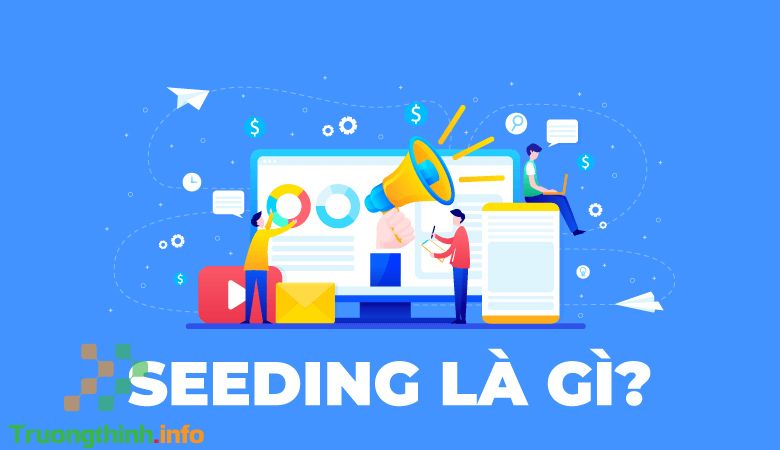                           Seeding là gì? Cách seeding hiệu quả nhất trong Marketing