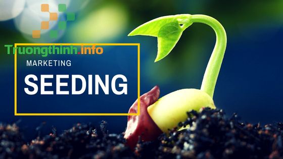                           Seeding là gì? Cách seeding hiệu quả nhất trong Marketing