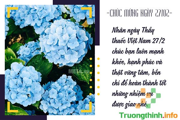                           25 Thiệp chúc mừng ngày 27/2 - Ngày Thầy thuốc Việt Nam